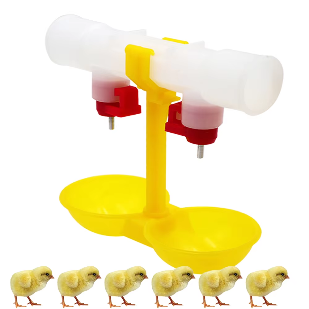 5/10/20 pz Pollo Doppia Testa  - Zwitsal Baby Products recensione e prezzo